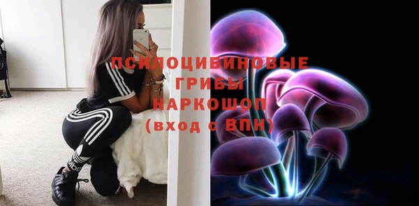 гашиш Богородск