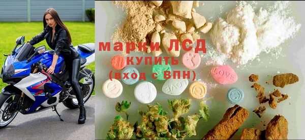сатива Богородицк