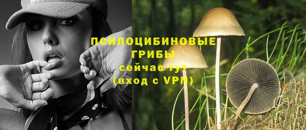 гашиш Богородск