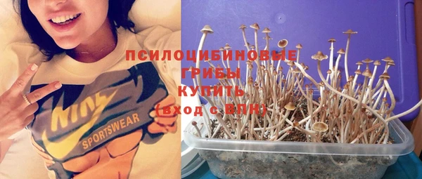 а пвп мука Богданович