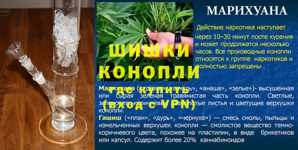 сатива Богородицк
