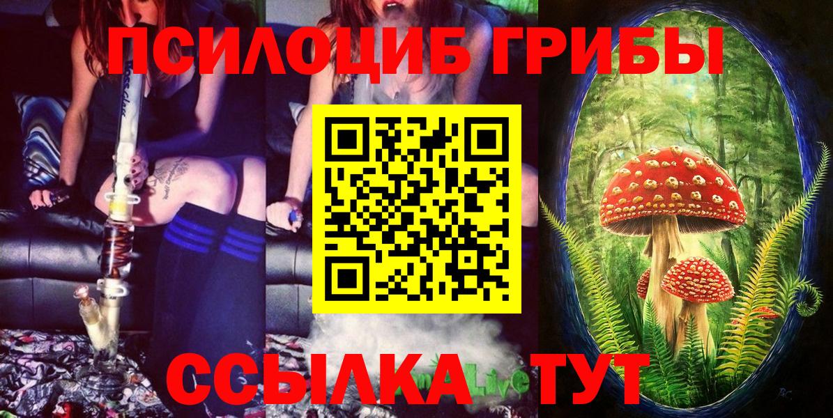 Псилоцибиновые грибы Magic Shrooms Видное