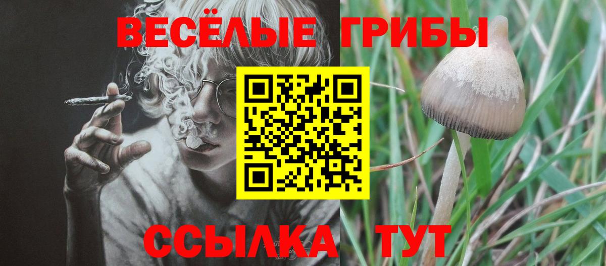 NBOMe  Вход с VPN  А ПВП СК кристаллы  Лсд 25  Видное  Меф   Гашиш 