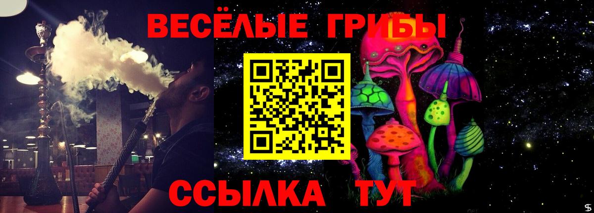 Галлюциногенные грибы мицелий  Псилоцибиновые грибы GOLDEN TEACHER  Вход с VPN  закладка  Видное 