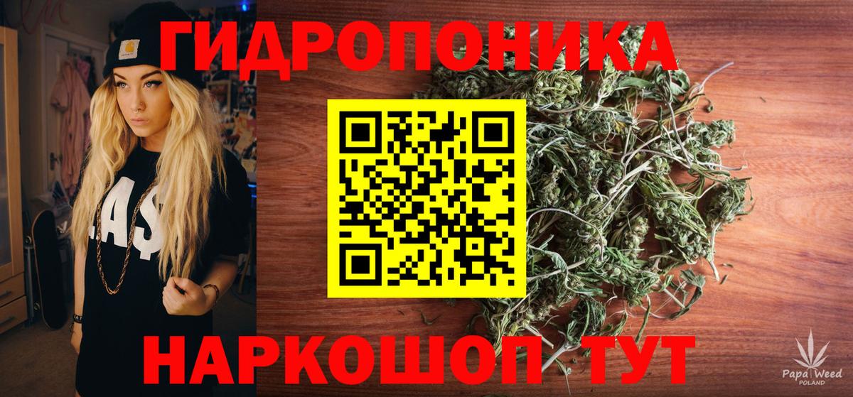 Бошки Шишки планчик Видное
